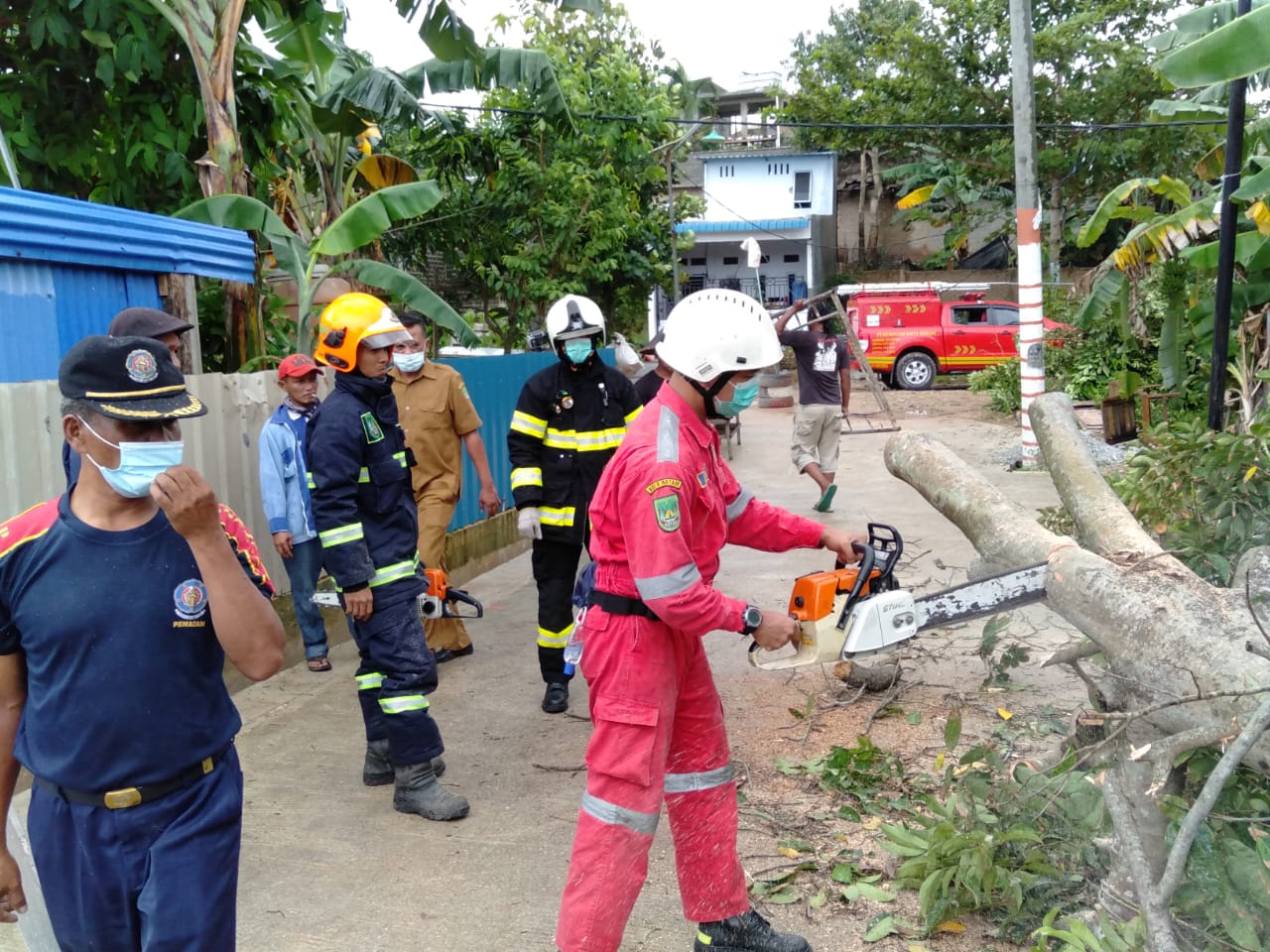 Giat Damkar Hari Ini Tim Rescue Evakuasi Pohon Tumbang Dinas Pemadam Kebakaran Dan